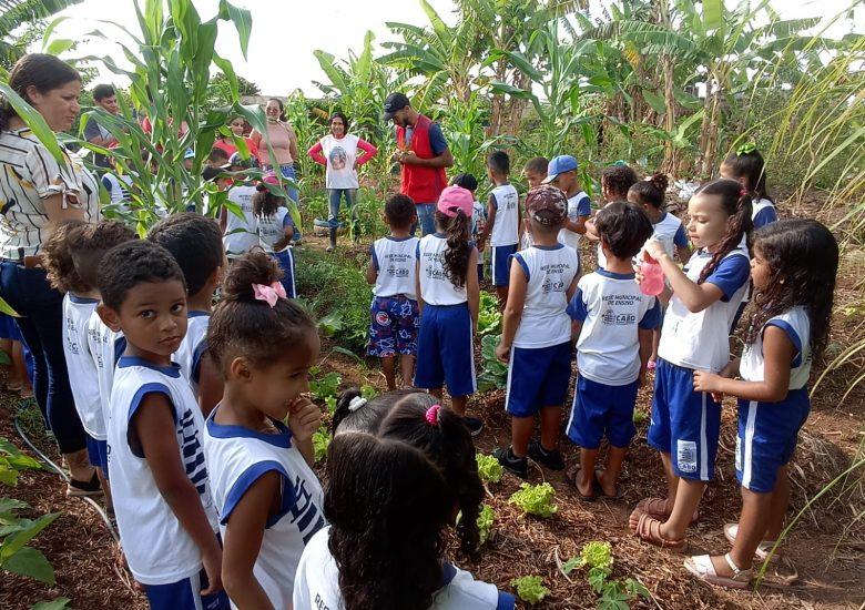 Quintais Ecoprodutivos: laboratórios de ecotecnologias recebe visita de alunos de escola educacional infantil