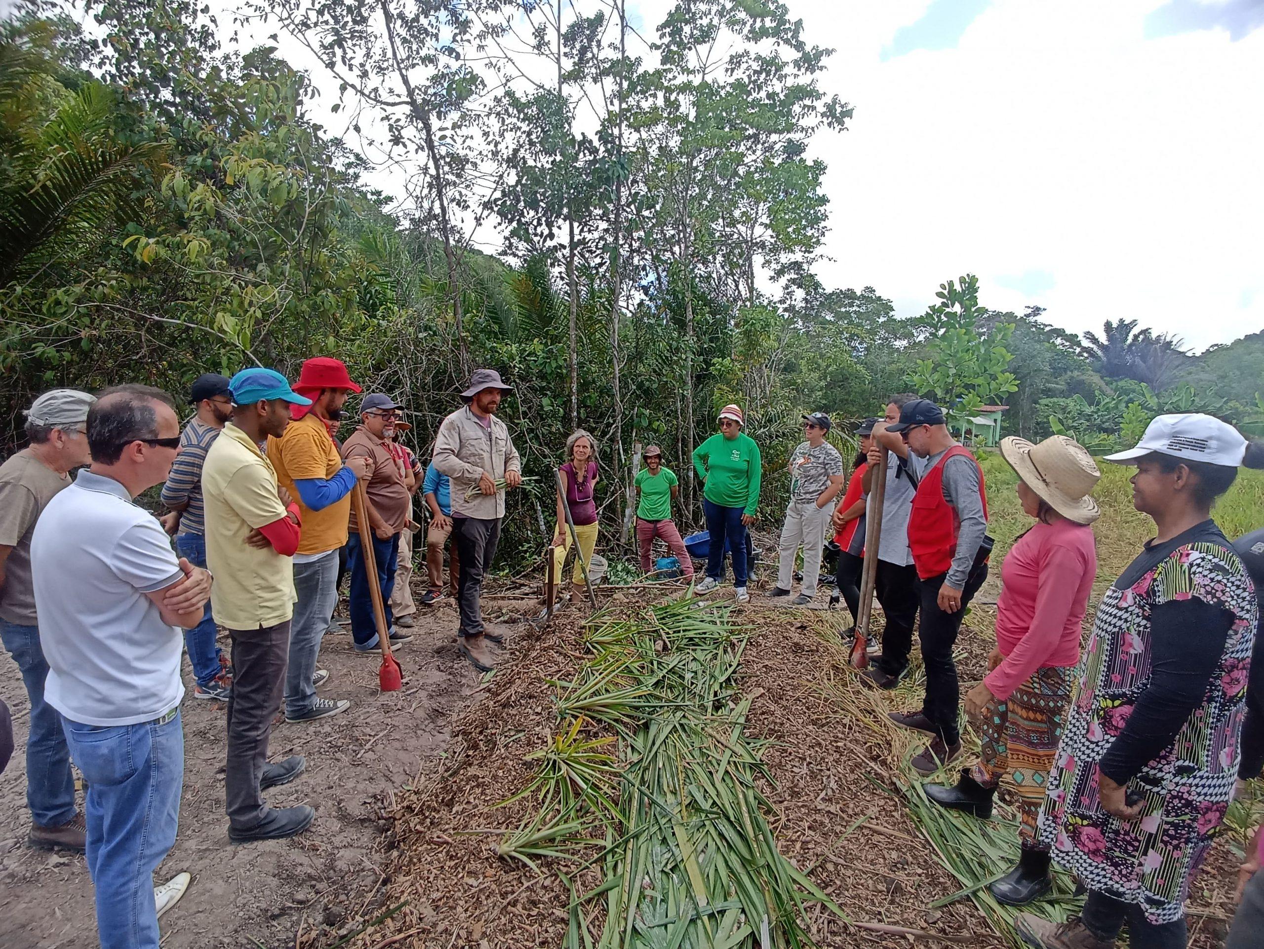 Curso capacita técnicos de campo sobre a importância do sistema agroflorestal