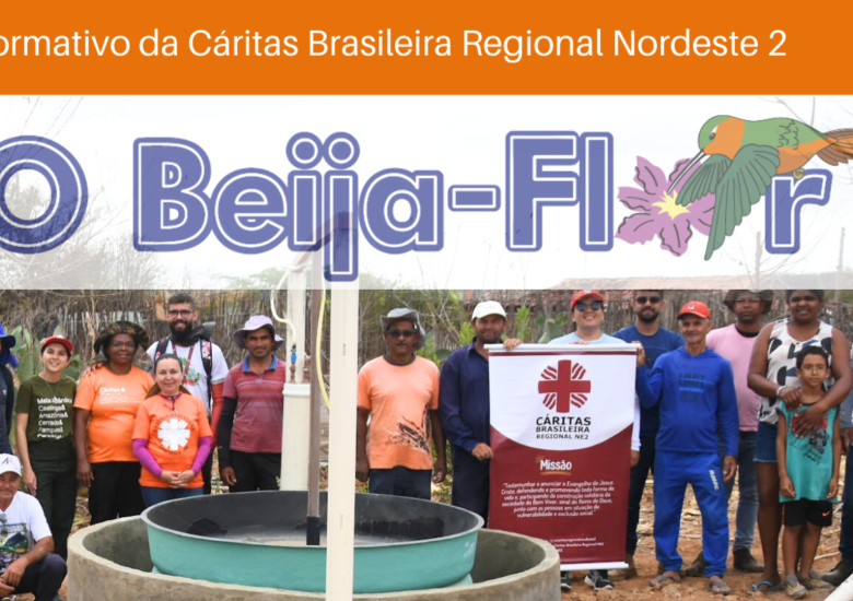 Confira aqui todas as edições do Boletim Beija Flor Confira aqui todas as edições do Boletim Beija Flor